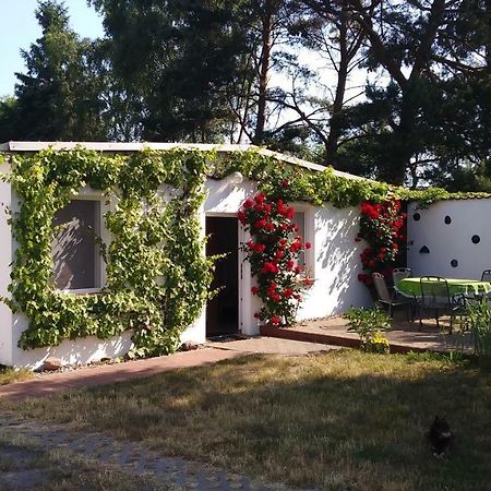 Villa Ferienhaeuschen Born Exterior foto
