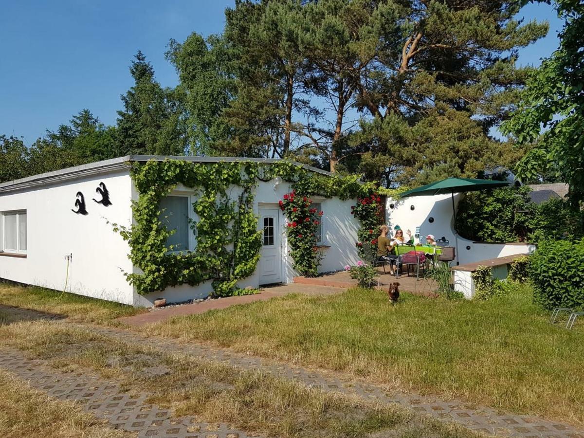 Villa Ferienhaeuschen Born Exterior foto